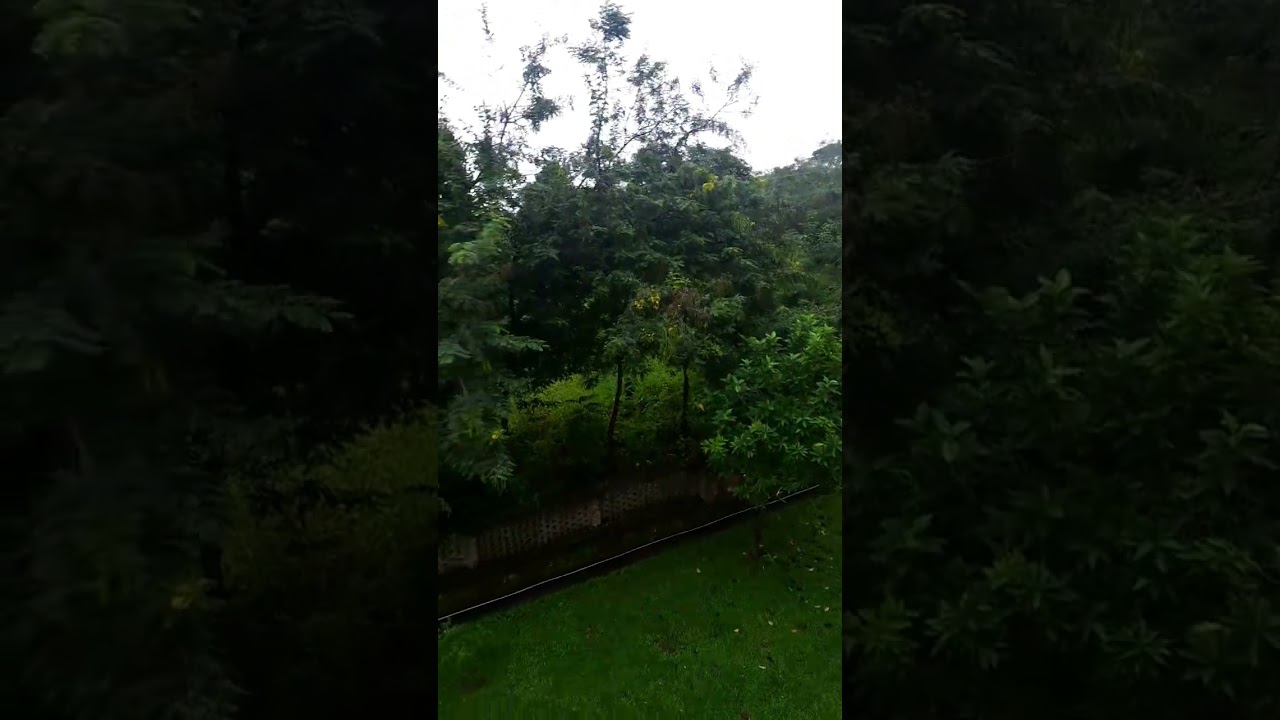 soo windy ,rainy cyclone in paloncha ⚡️🌪