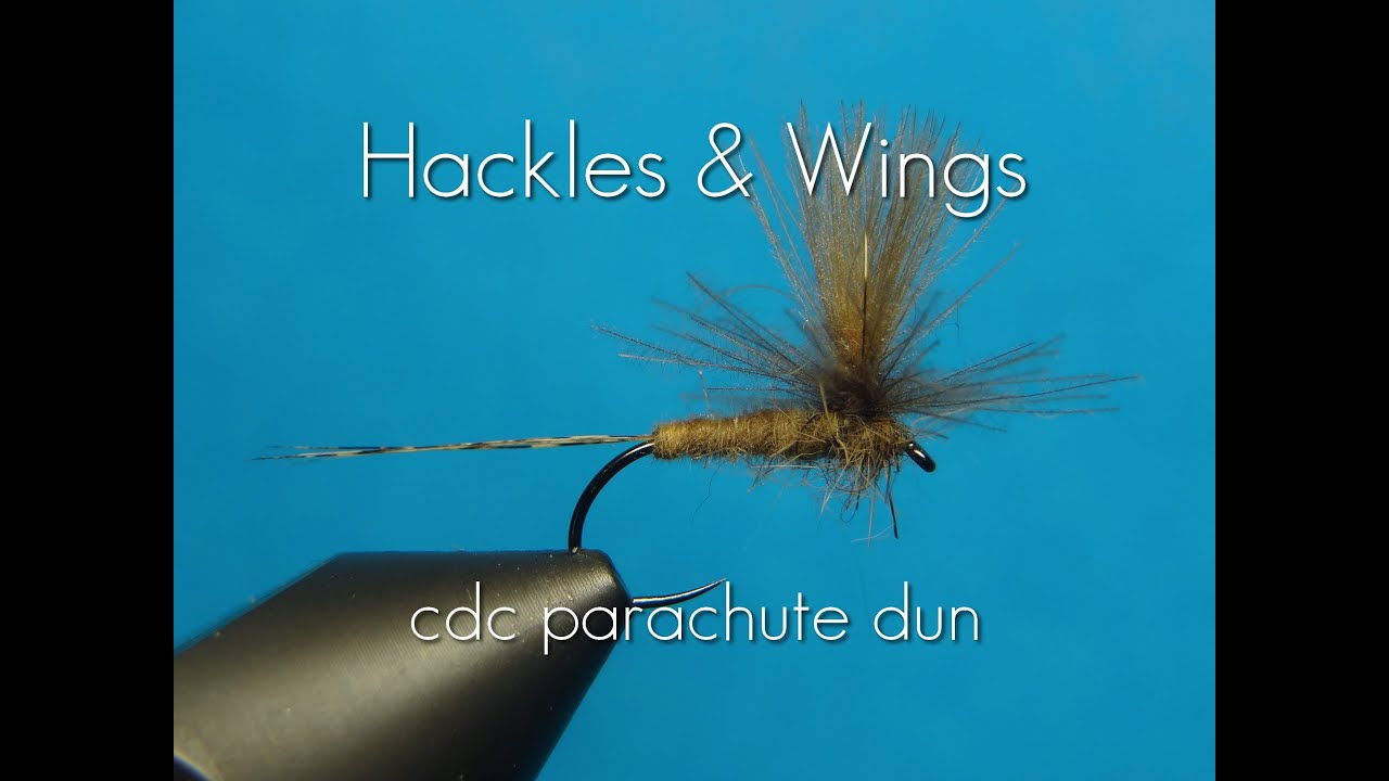 Fly Tying CdC Parachute Dun | Hackles & Wings