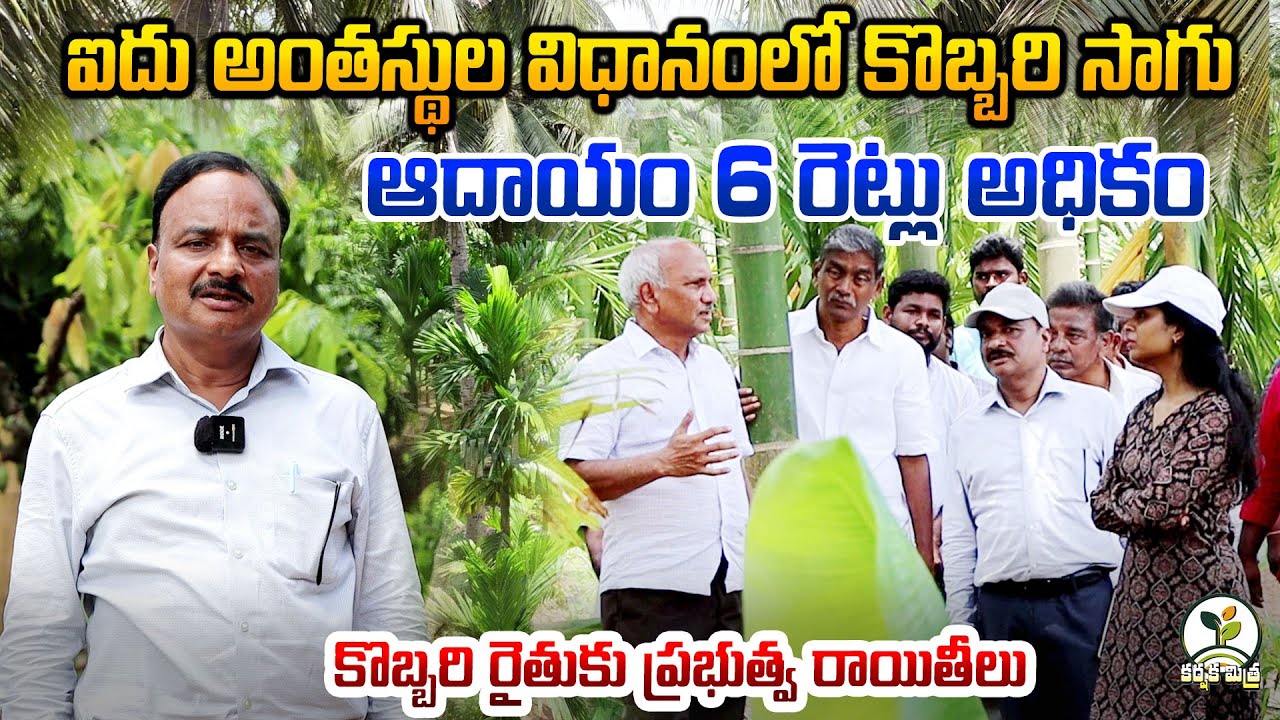 కొబ్బరిలో ఐదు అంతస్థుల సాగు, లక్షల్లో లాభం | Profitable Coconut Multicropping |Karshaka Mitra #agri