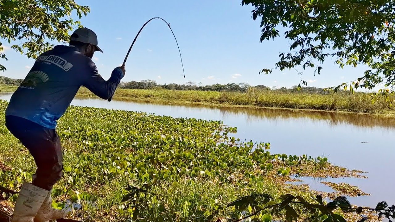 LAR DAS MONSTRUOSAS , FOMOS PESCAR EM MATO GROSSO DO SUL EM UMA LAGOA./PESCARIA DE BARRANCO.