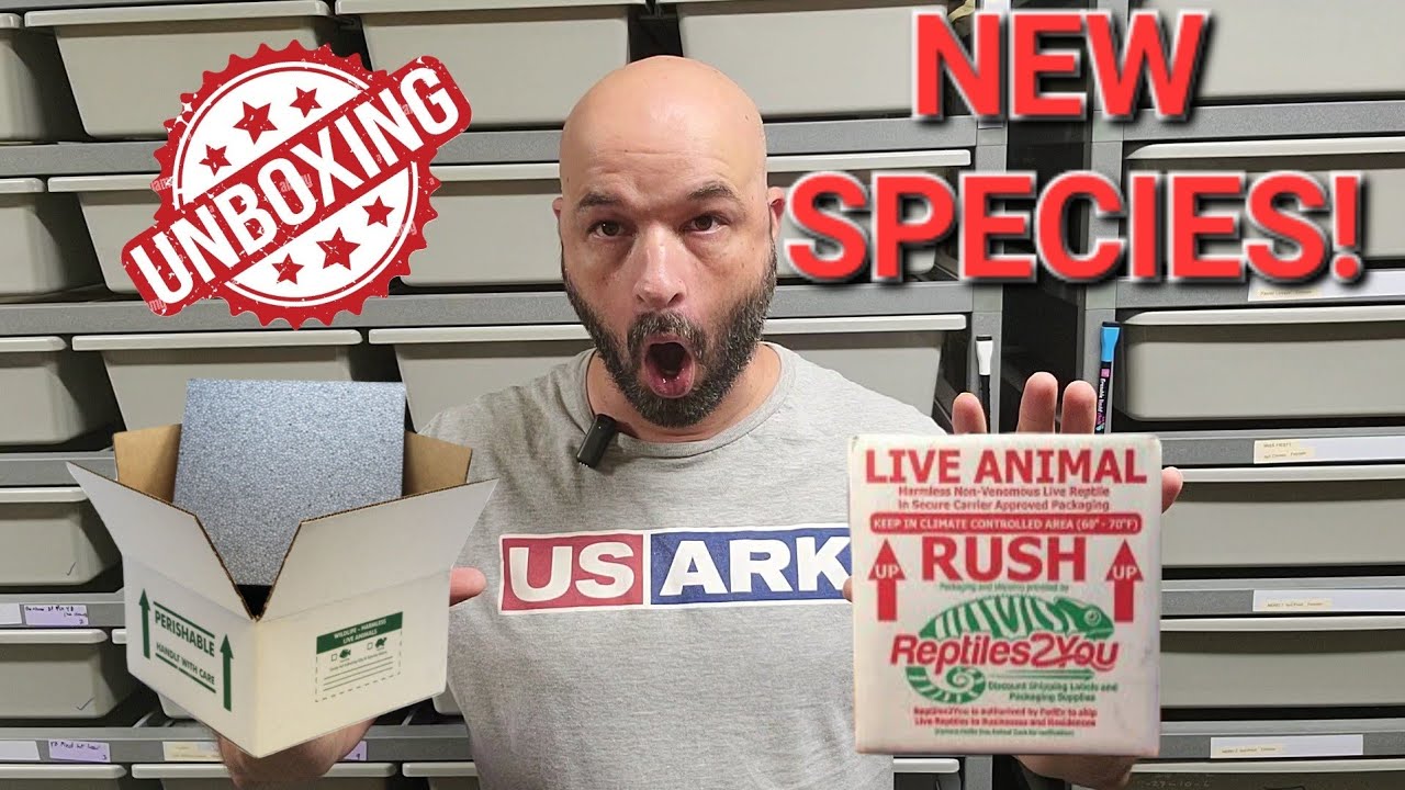 Unboxing A NEW Species! Two New Packages to Open.