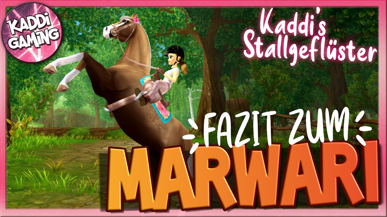 Mein Fazit zum Marwari 🐴 Kaddi's Stallgeflüster [FACECAM]