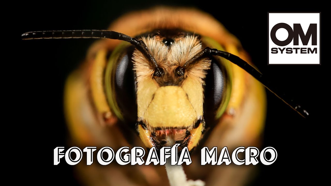 Taller de Fotografía Macro con OM System y Annaïs Pascual