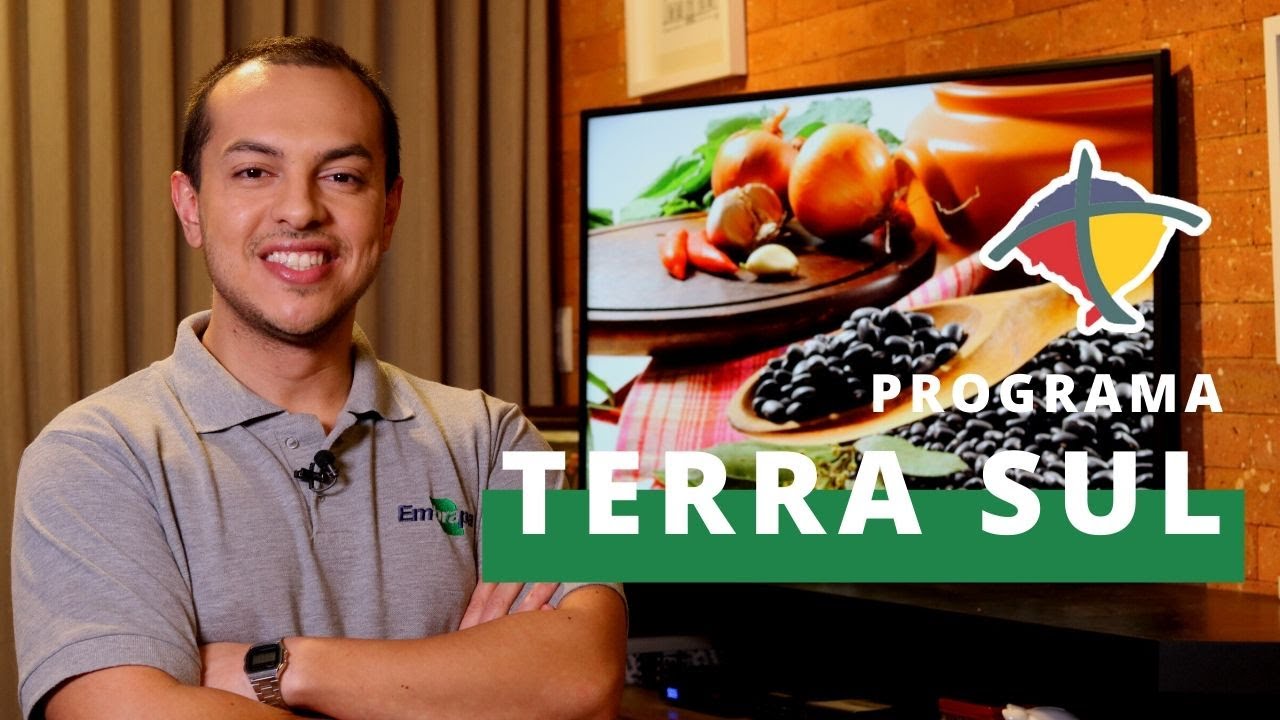 Programa Terra Sul | Completo - 28/06/2020