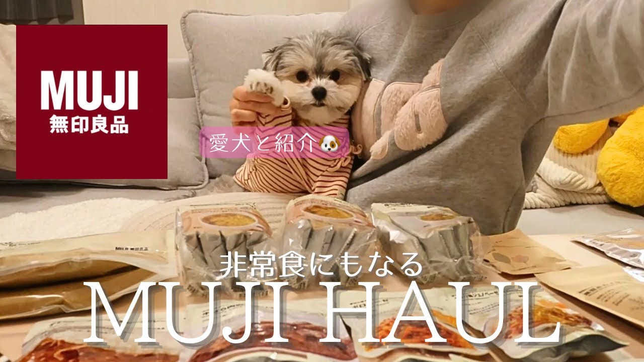 非常食にもなる無印良品21点購入品紹介🍛🍲🍝| 愛犬と対話しながら一部レビューあり🐶🗣️