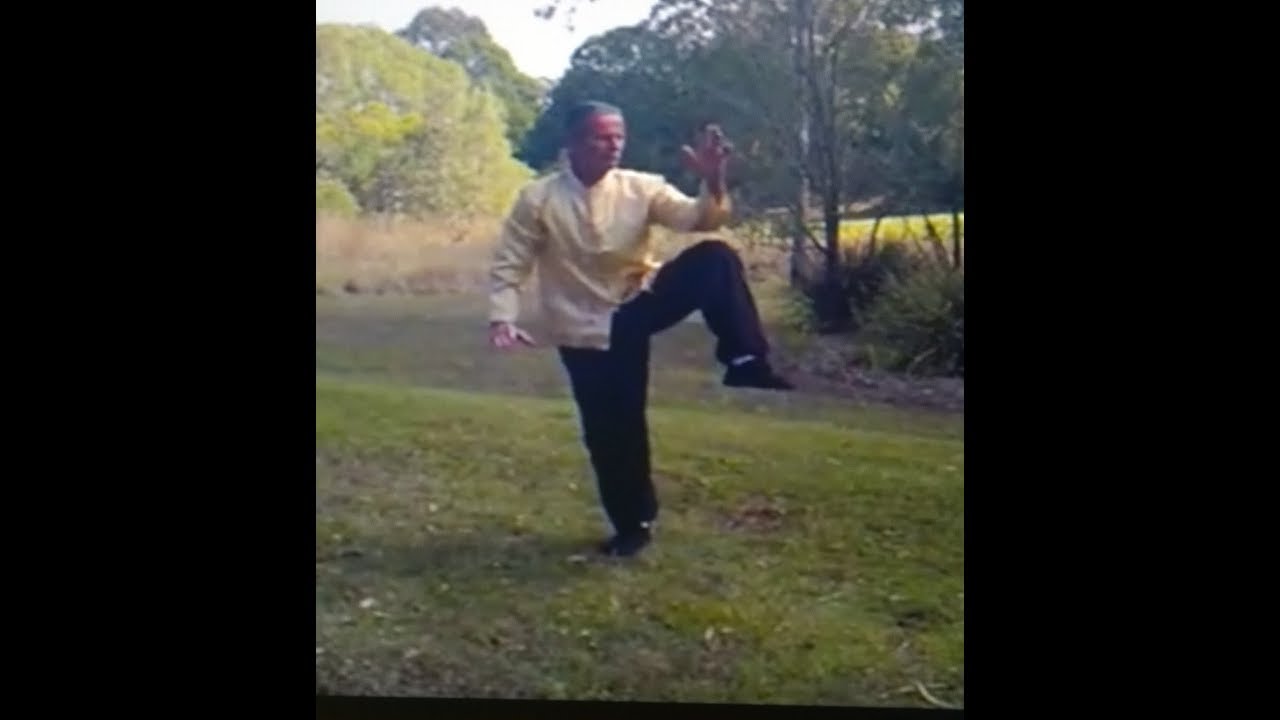TAI CHI 28 Form Yang Style  Amazing benefits from this short form.