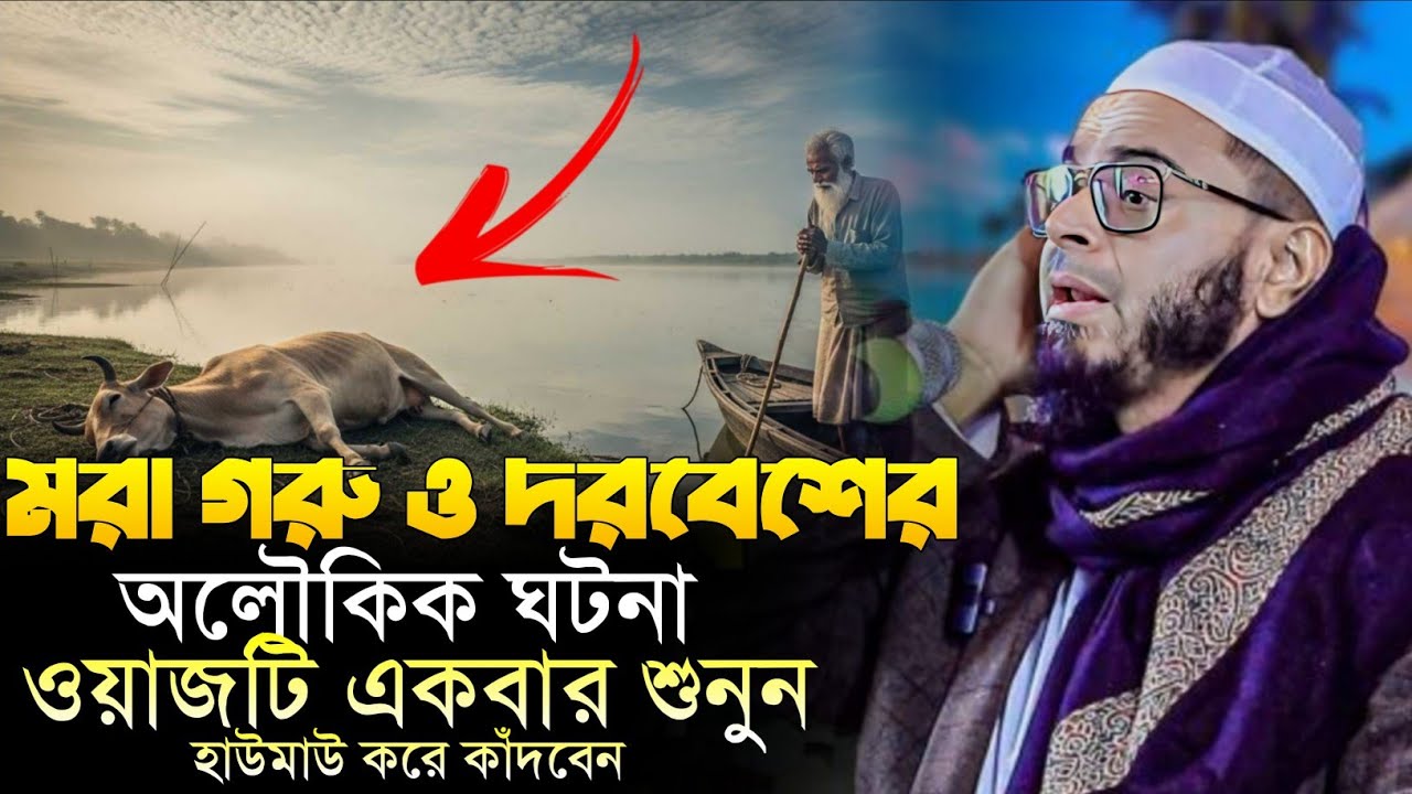 মরা গরু ও দরবেশের ঘটনা। মুফতি নাসির উদ্দীন আনসারী ওয়াজ। এই সেই ভাইরাল ওয়াজ ওয়াজ।