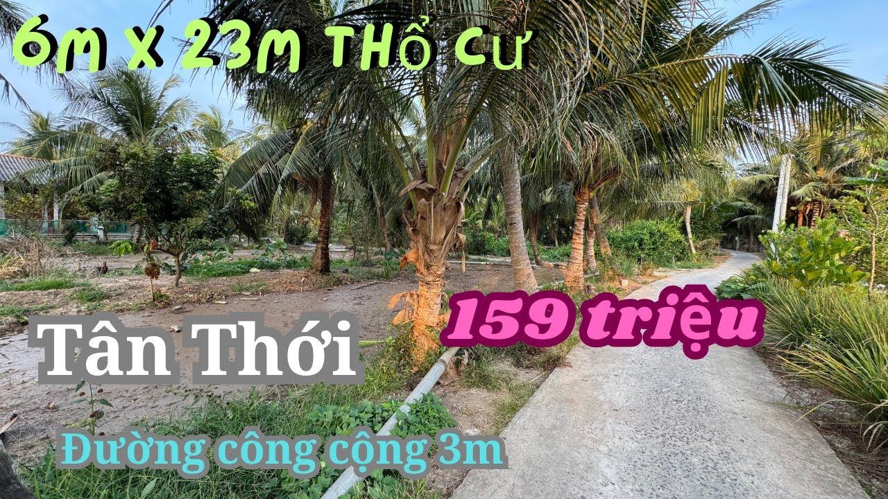 MS1979: 6m x 23m thổ cư, giá rẻ xã Tân Thới 