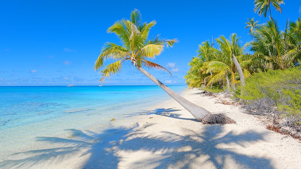 Pristine Beach Paradise: 6 Hours of Natural Waves From French Polynesia