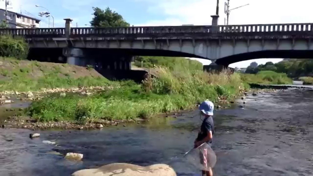 京都・鴨川(三角州)でつむじ風に遭遇