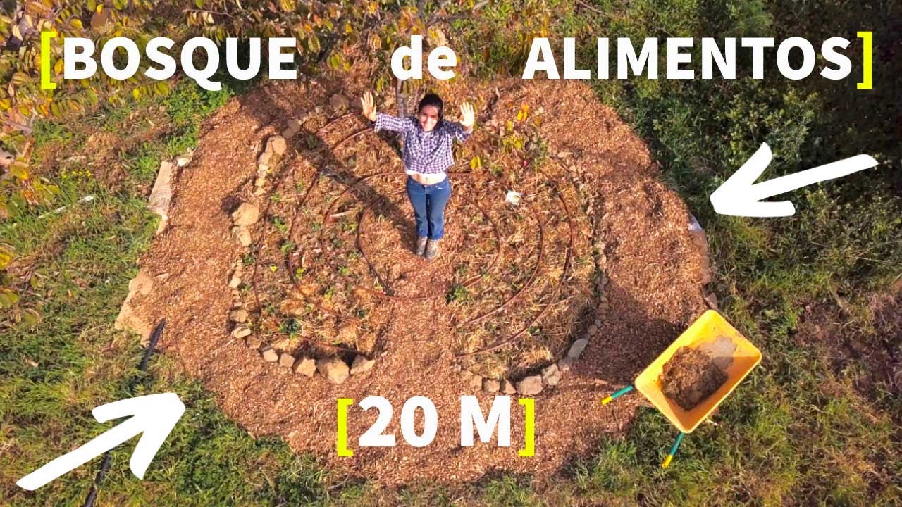 BOSQUE COMESTIBLE 20M 🌳 [Paso a Paso desde 0]