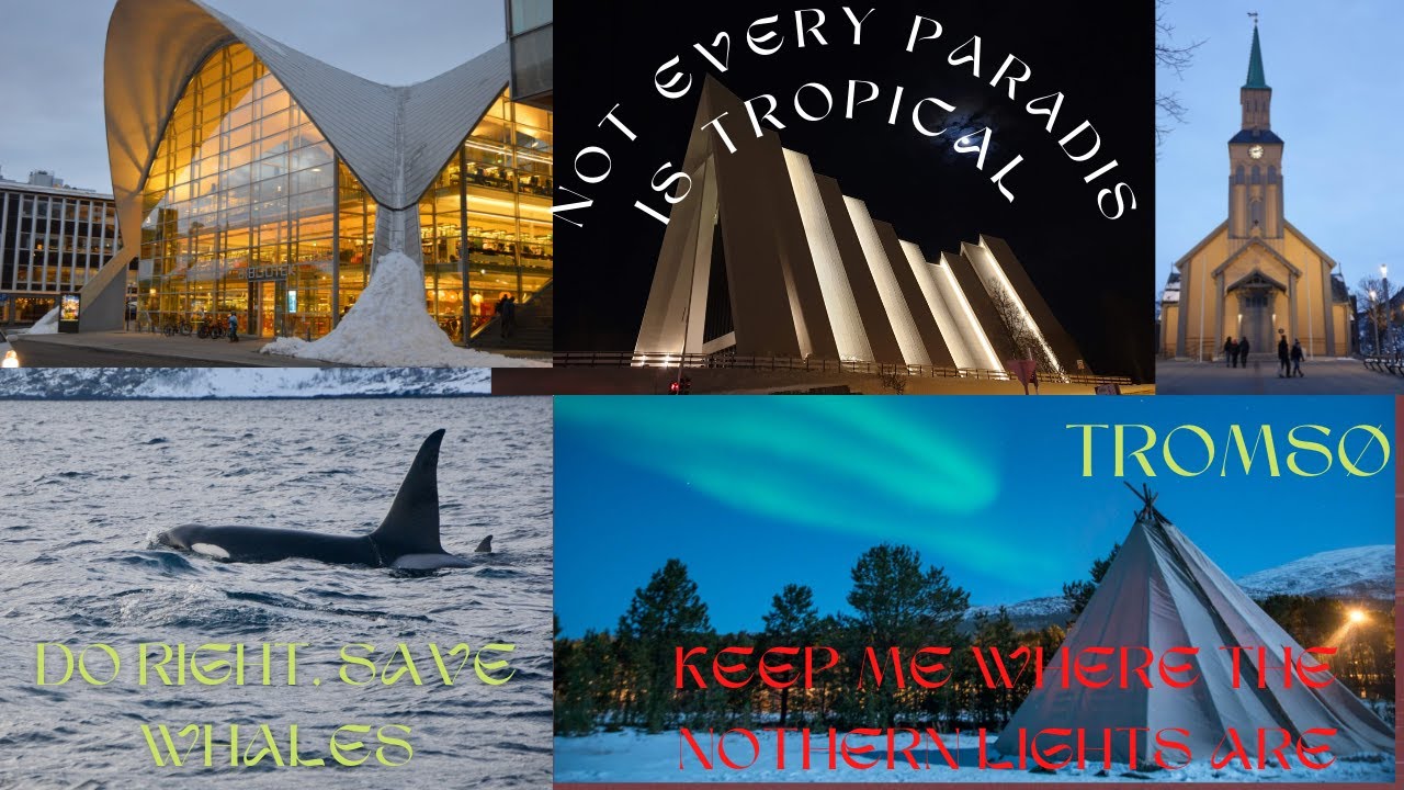 Tromso Norway| Best Place for Northern Lights and Whale Watching