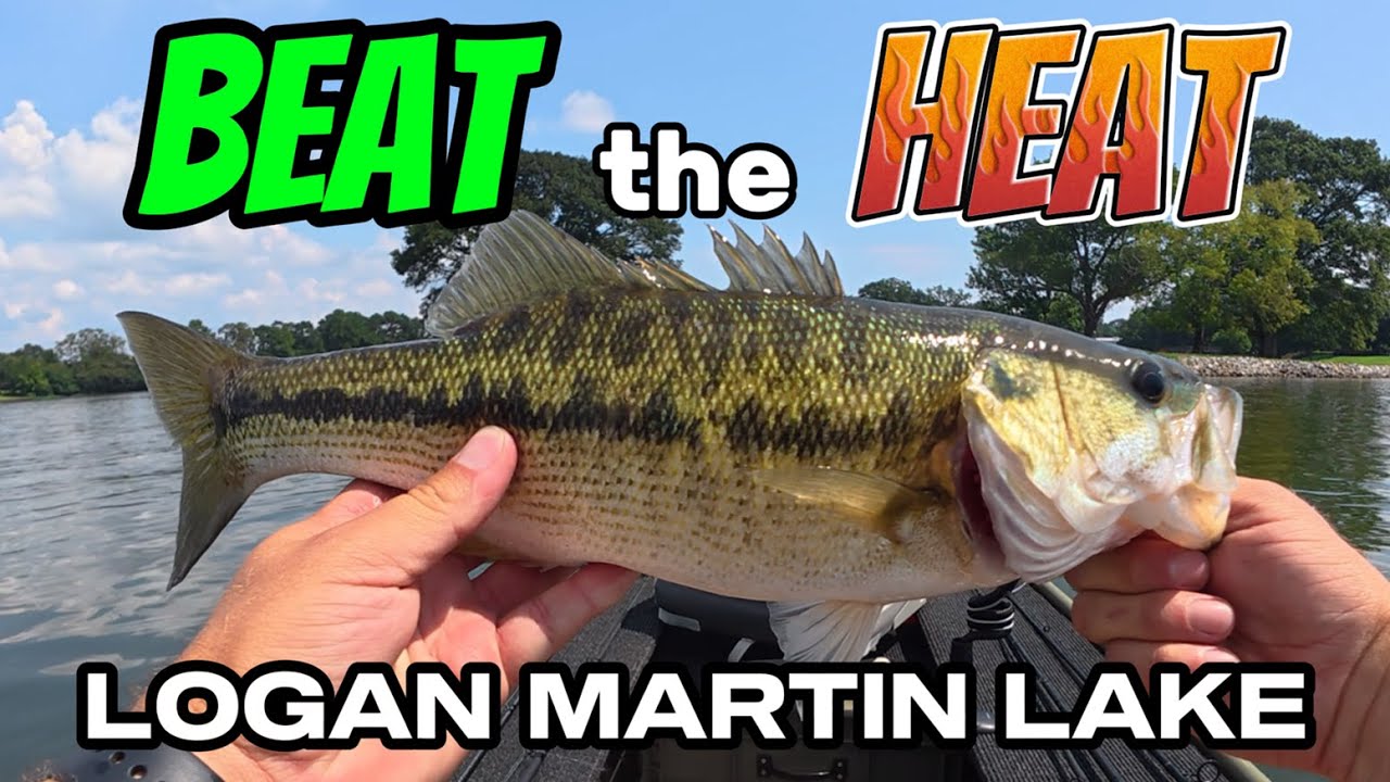 Can I Catch Summer Bass in 100° Heat?? - Logan Martin Lake