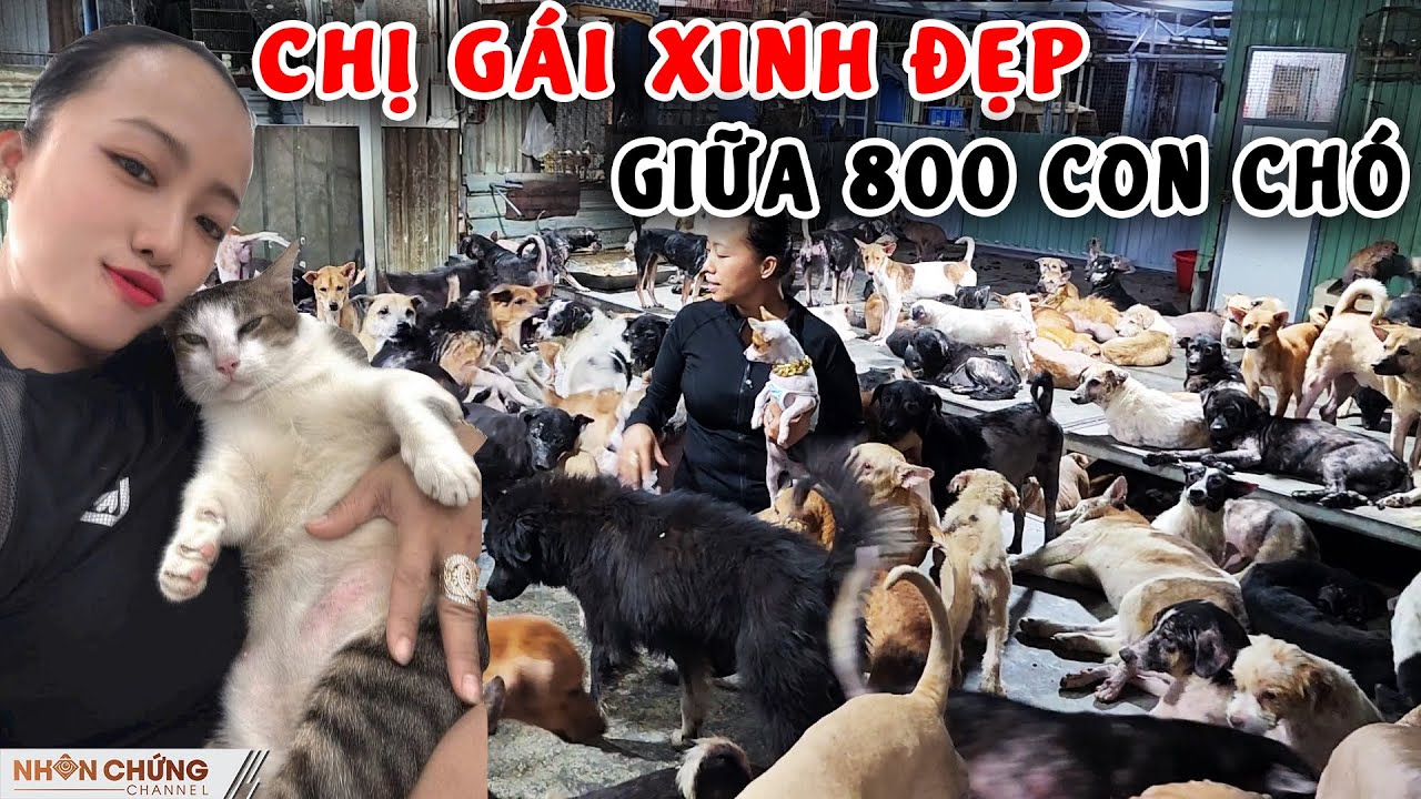 Chị g&aacute;i xinh đẹp giữa v&ograve;ng v&acirc;y của hơn 800 ch&uacute; ch&oacute;