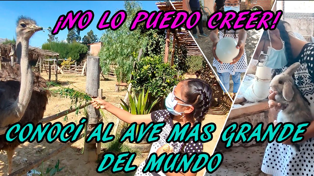 Conocí al ave mas grande del Mundo!! || Visité una Granja Hermosa