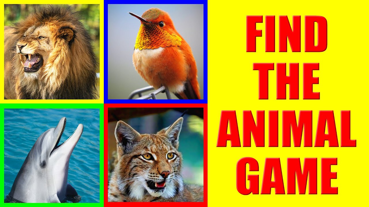 Find the Animal Sound Challenge | Game for Kids, Preschoolers and Kindergarten