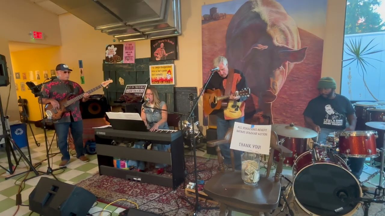 Three Story Train Perform For Moms Demand Action
