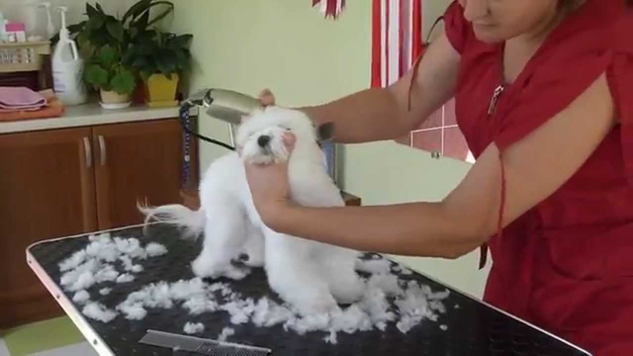 часть1 из 11