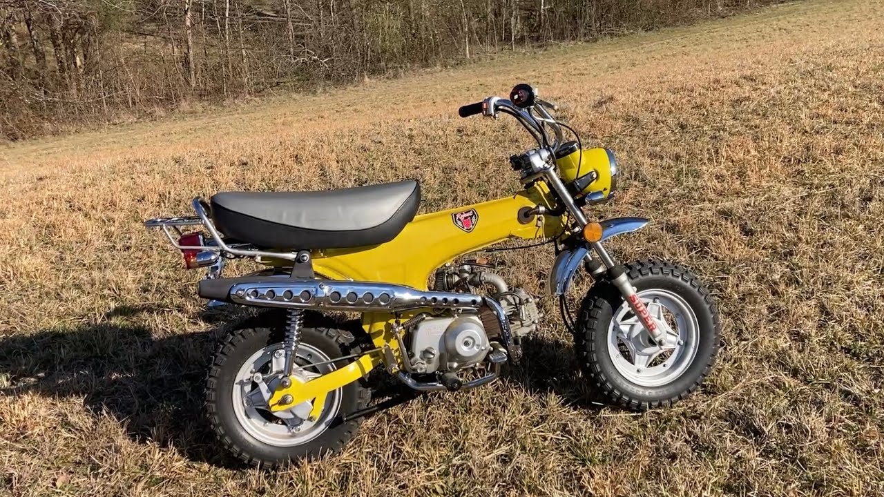 Today was nice out, Lets bring out a few vintage minibikes to work on. 