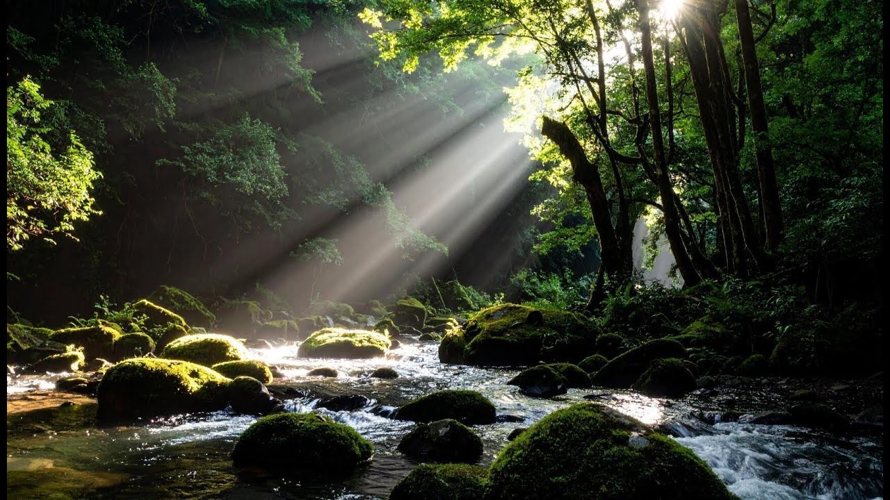Drift Into Deep Sleep | 12 Hours of Gentle Birds & Flowing Creek