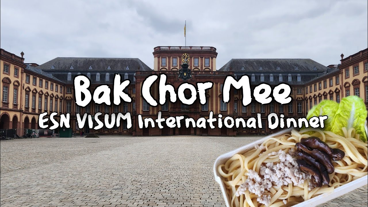 ESN Visum International Dinner | Exchange Student at Mannheim University 🇩🇪