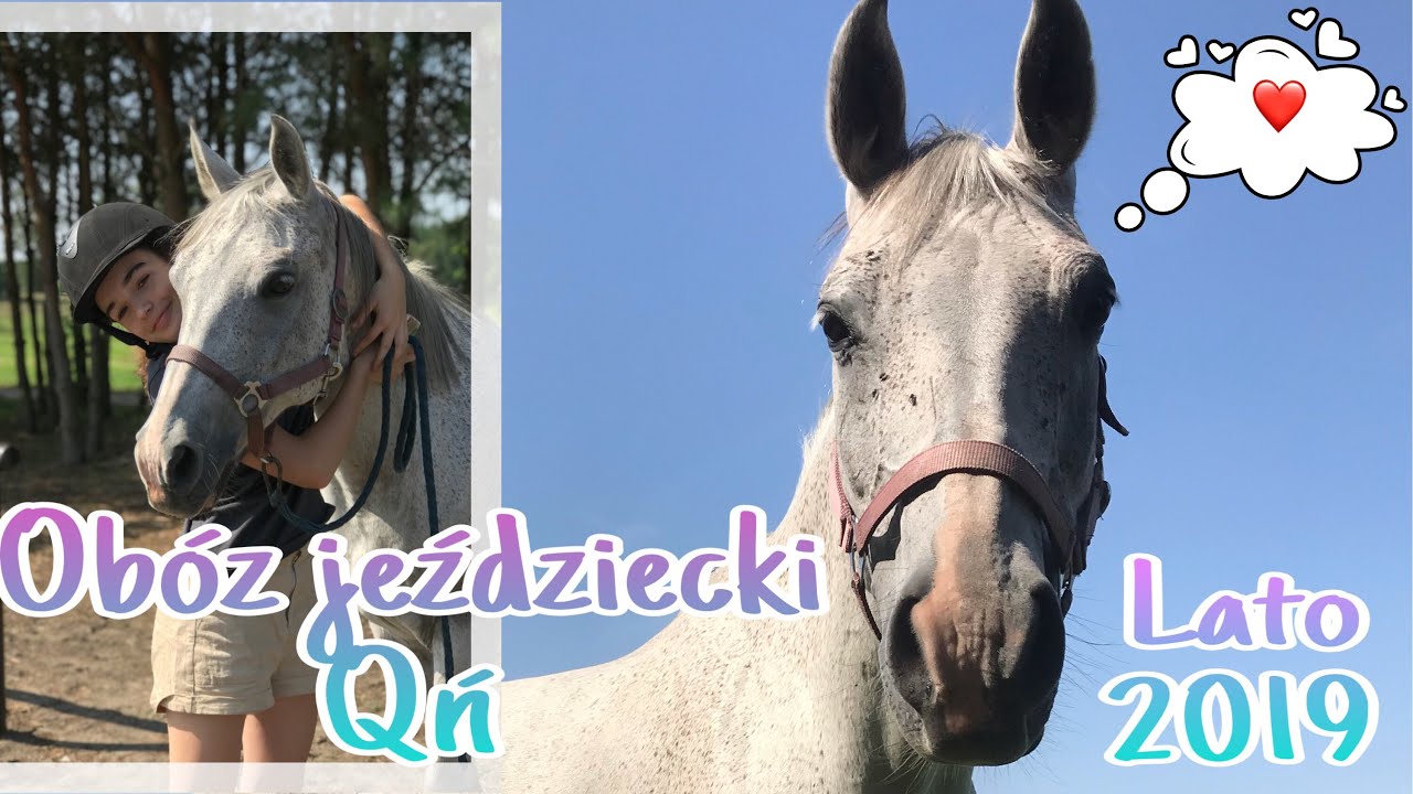 Obóz Qń LATO 2019