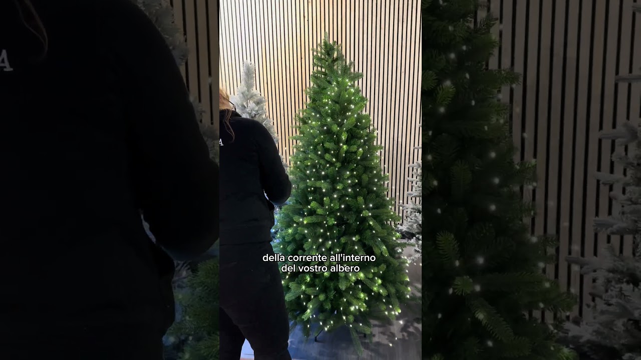 Il metodo pi&ugrave; facile e veloce per mettere la luci sull'albero! #natale #christmastree #christmastime