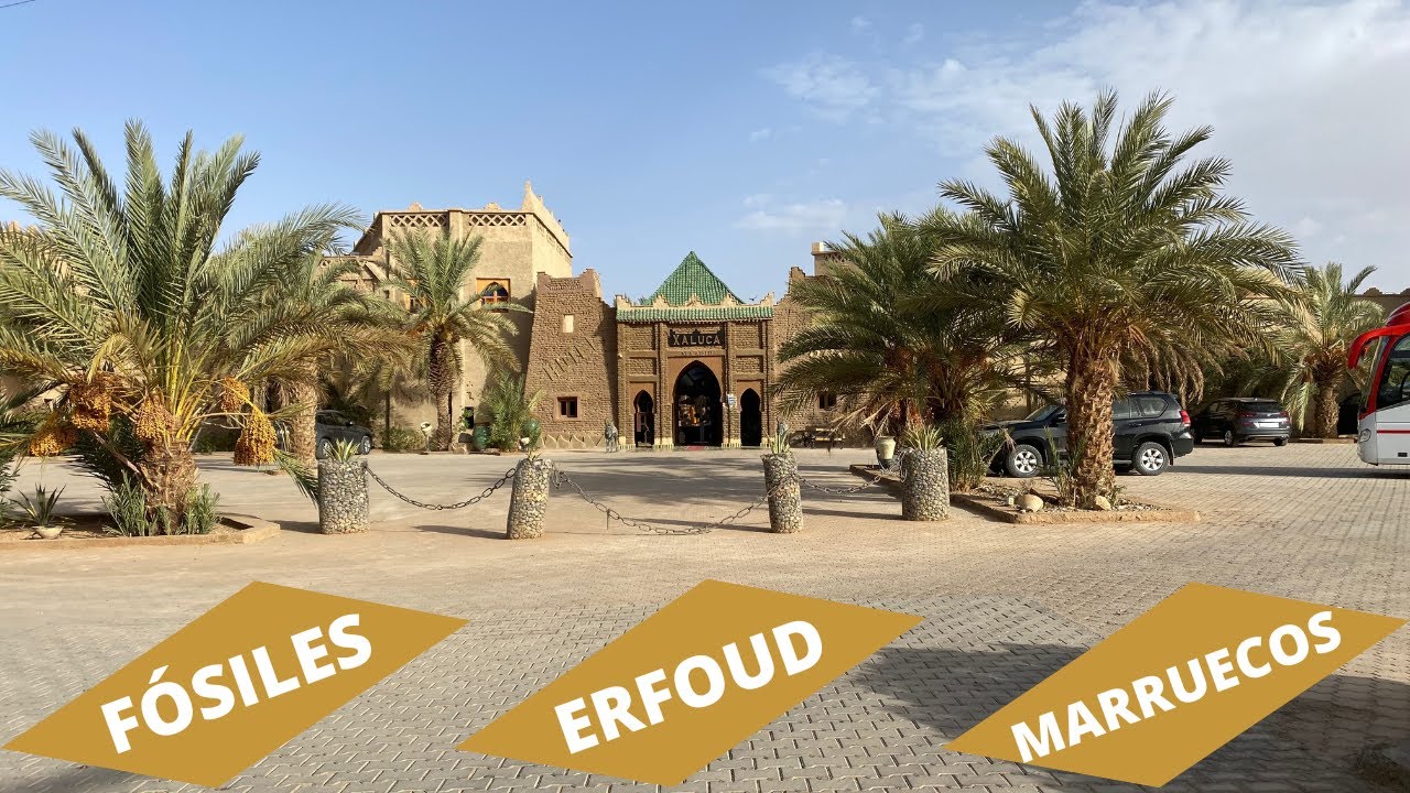 Lo_que_NADIE_te_CONTÓ_sobre_[_ERFOUD_Tierra_de_FÓSILES_]