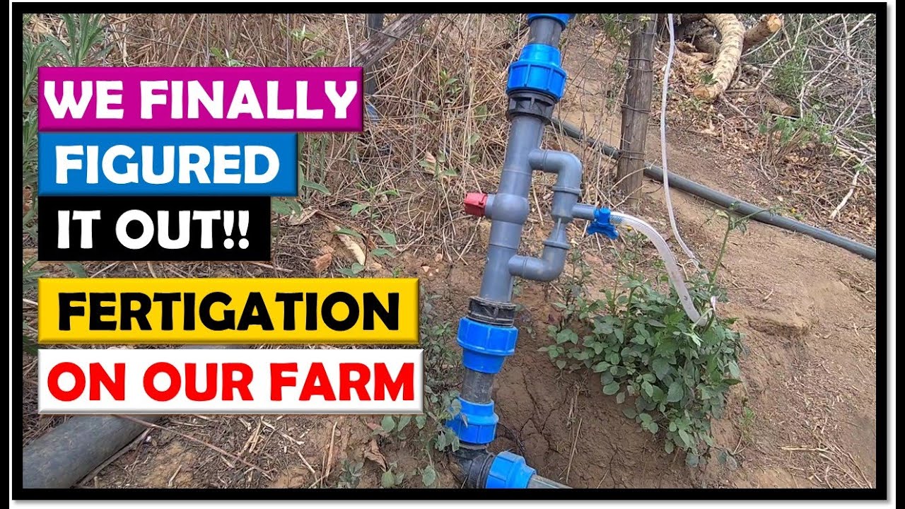 Vegetable Farming in Zambia: How We Use A Venturi Injector To Fertigate Our Crops