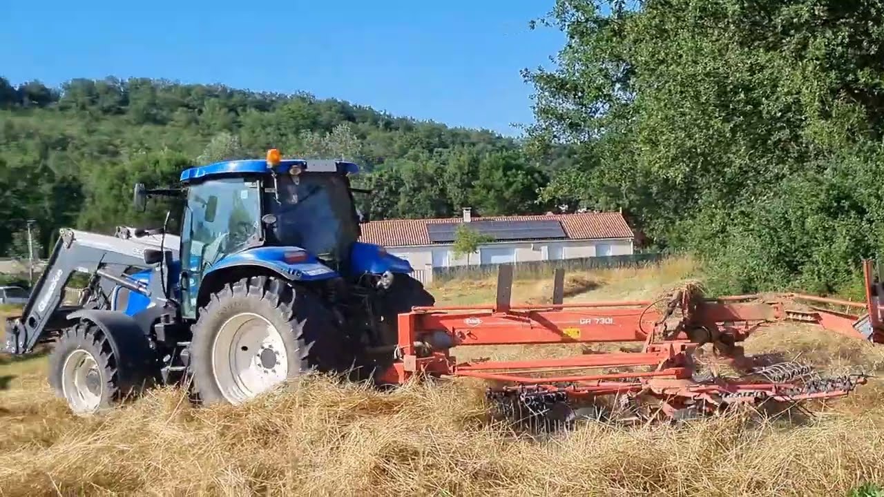 Foins 2025 - Andainage  - New Holland T6 et Kuhn GA 7301