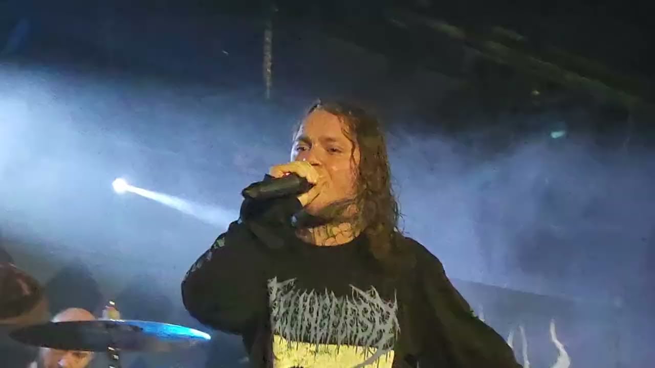 Ingested-
