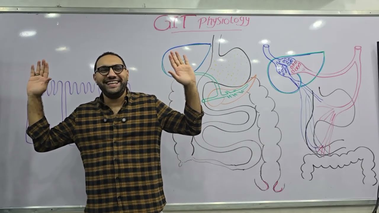 GIT Physiology lecture-1 || Kasr Alainy 198 || 2026