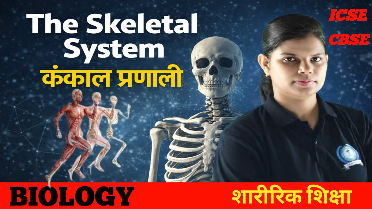 The Skeletal System Class 5