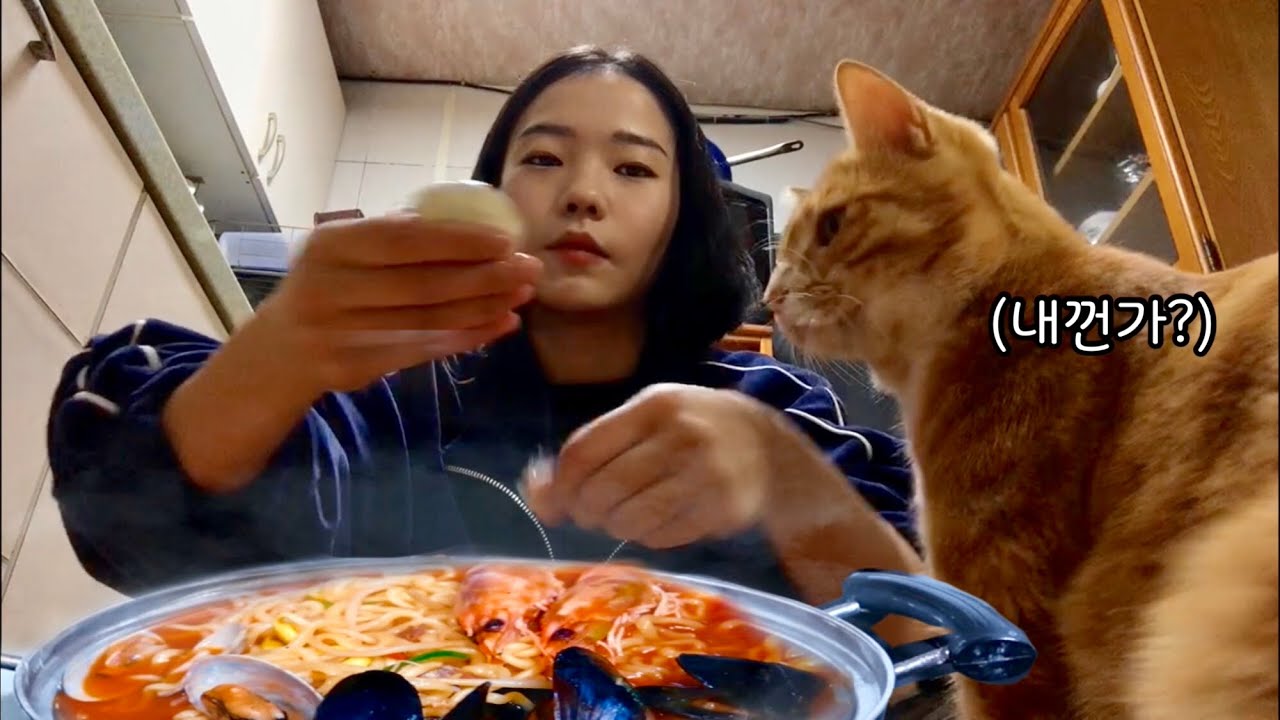 길고양이와 토종 제주도민, 해녀 해물라면
