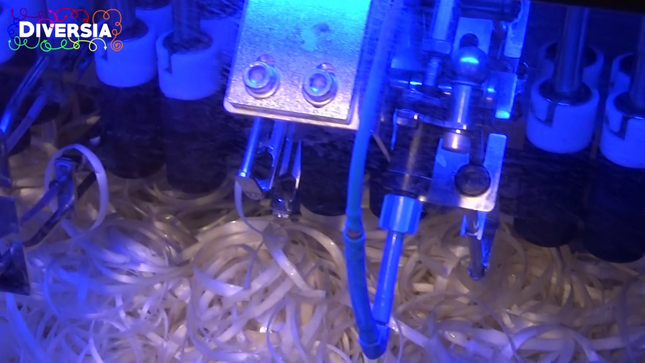 BEST WAY TO PEEL VEGETABLES: AUTOMATIC ASPARAGUS & CARROT PEELING MACHINE - TENTRIT FOODTEC PEELER