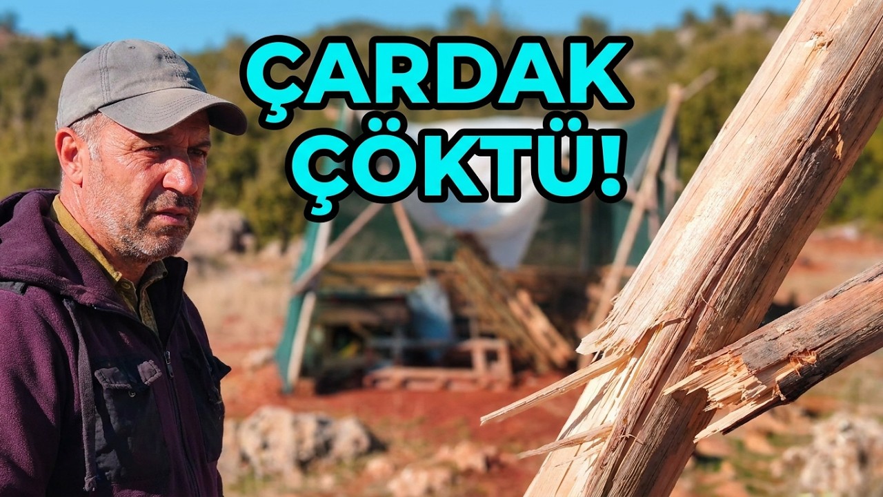 Çardak çökmüş | 58. Bölüm #düdenyaylası #doğa