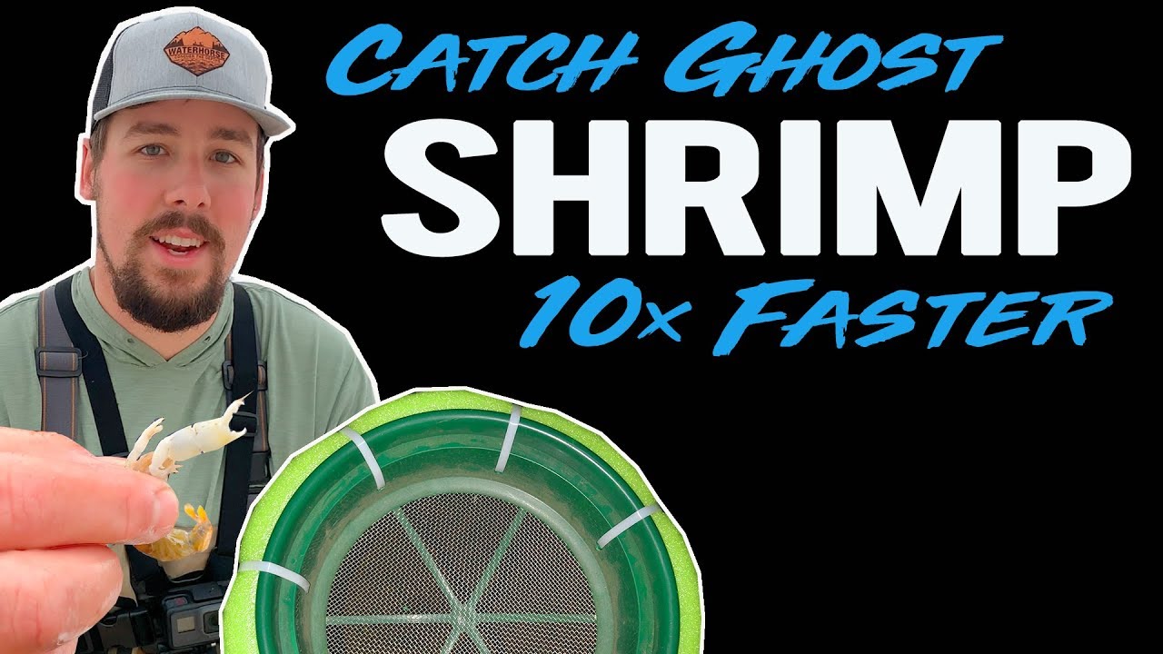A FASTER way to catch GHOST SHRIMP | Florida