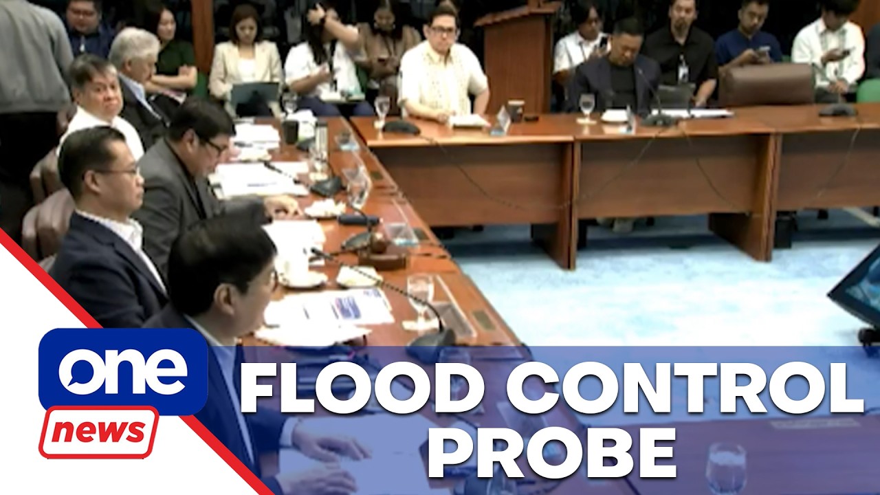 18 alleged bagmen of Zaldy Co skip Senate Blue Ribbon hearing | One News Now