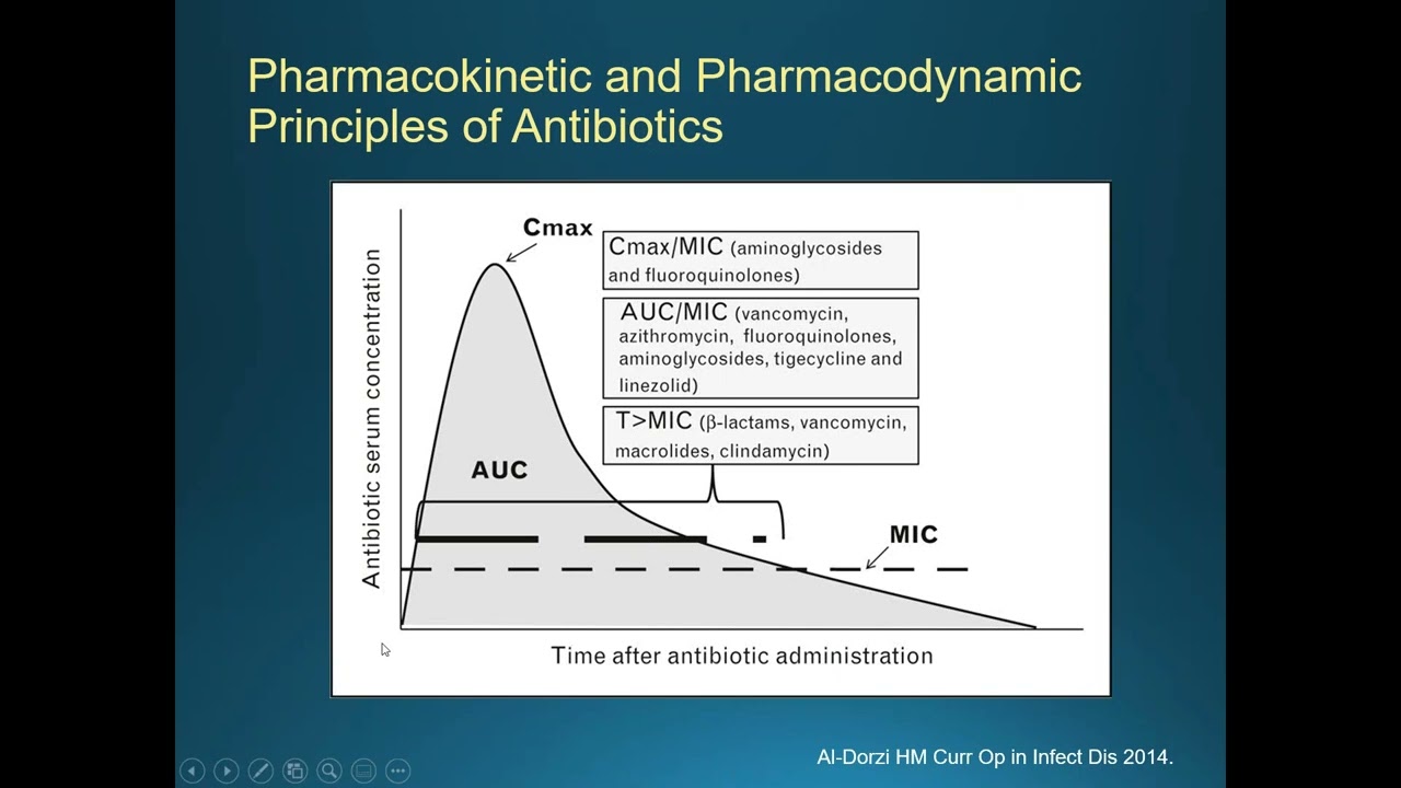 2019 06 14 Vancomycin Dosing Review of Current Literature and Recommendations for Monitoring