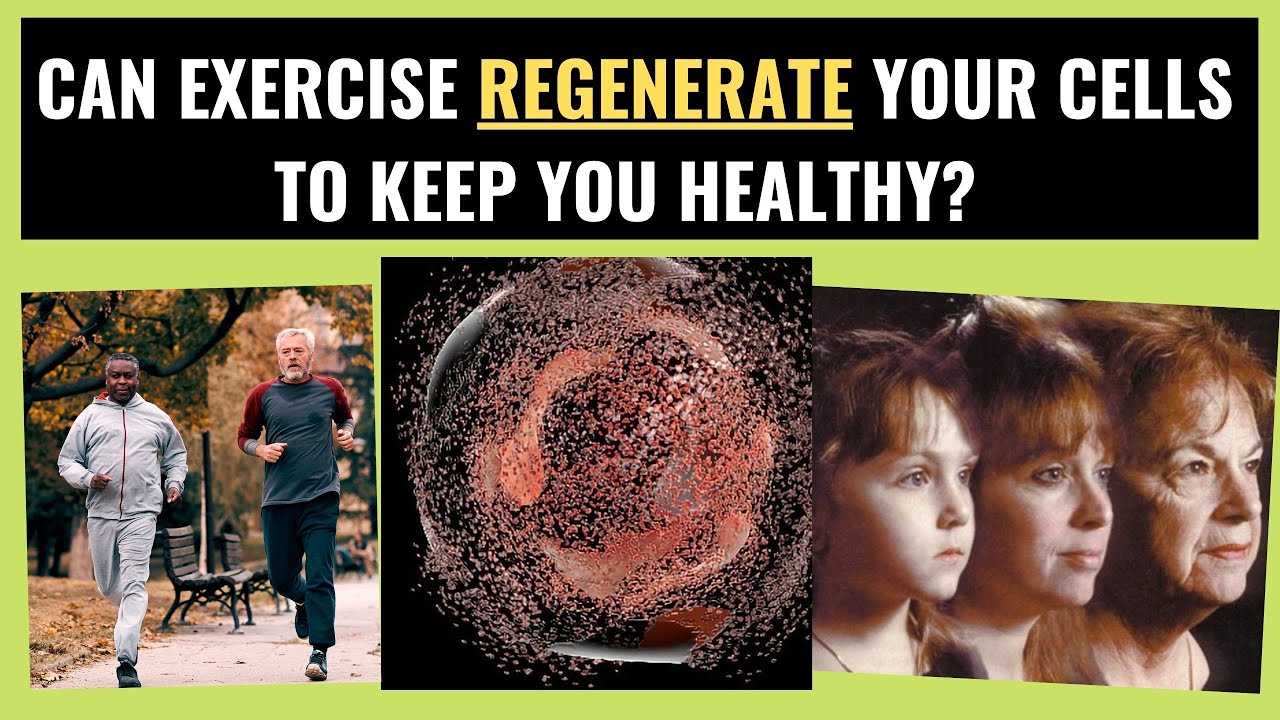 Can Exercise Renew Your Cells?