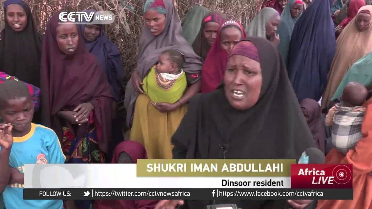 Humanitarian aid needed in Somali despite calm in Diinsoor town