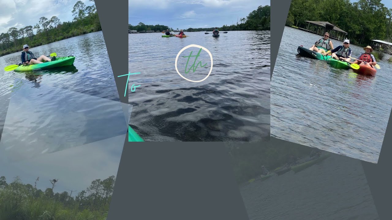 Testing and Reviewing the Aqua Floras Small Forest Bridge