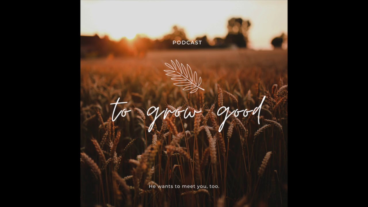 A Seed Planted By The Intellect ft. Lizzie Reezay - Catholic Conversion Story