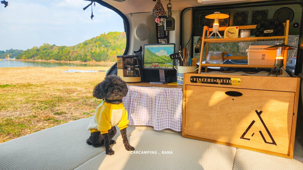 레이차박🍂 강아지와 떠난 바다 앞 아늑하고 편안한 차박캠핑 | 단풍 대신 가을 바다 낭만 | 황포해수욕장 캠핑장 | Camping Vlog