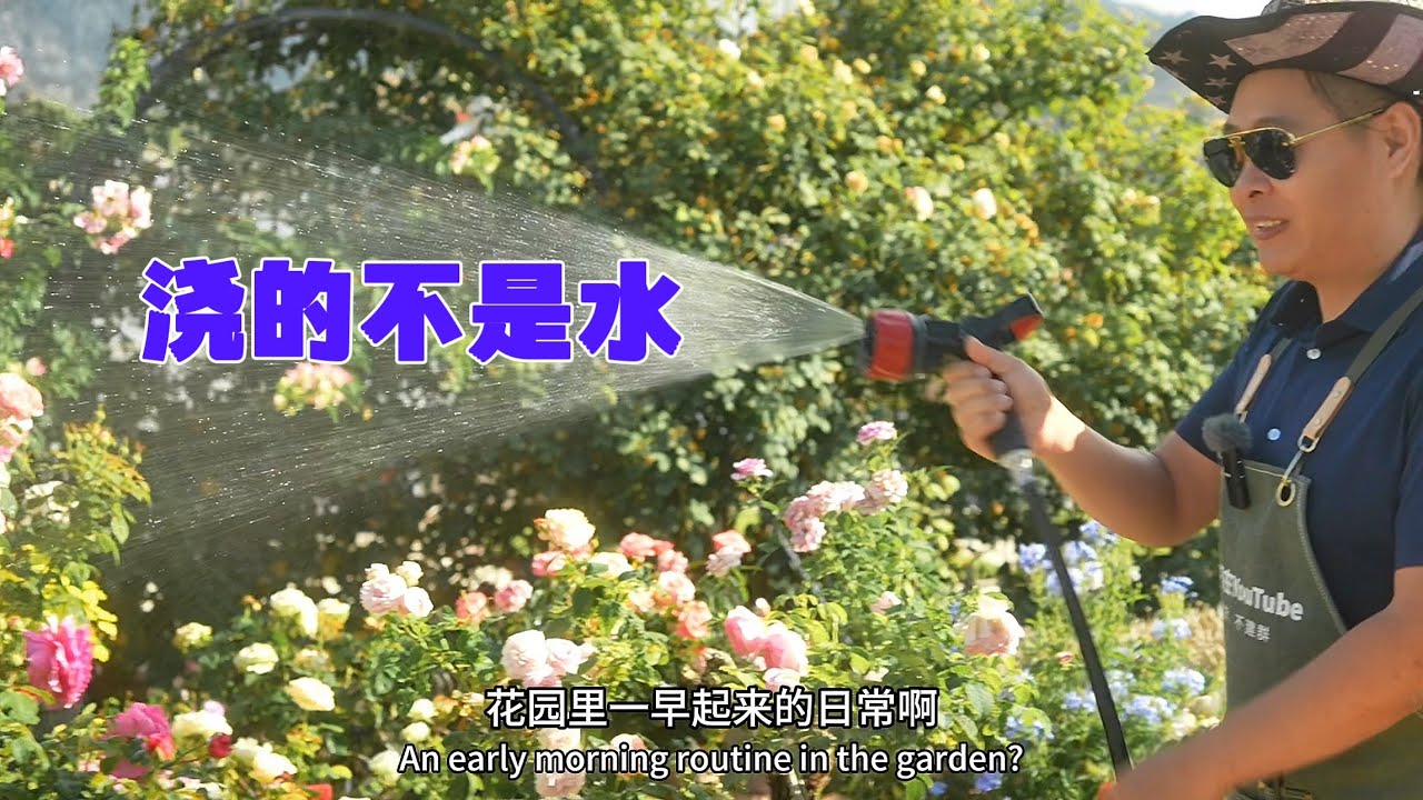 千万别错过 意想不到的花园日常养护知识哦！summer beautiful garden园艺篇655