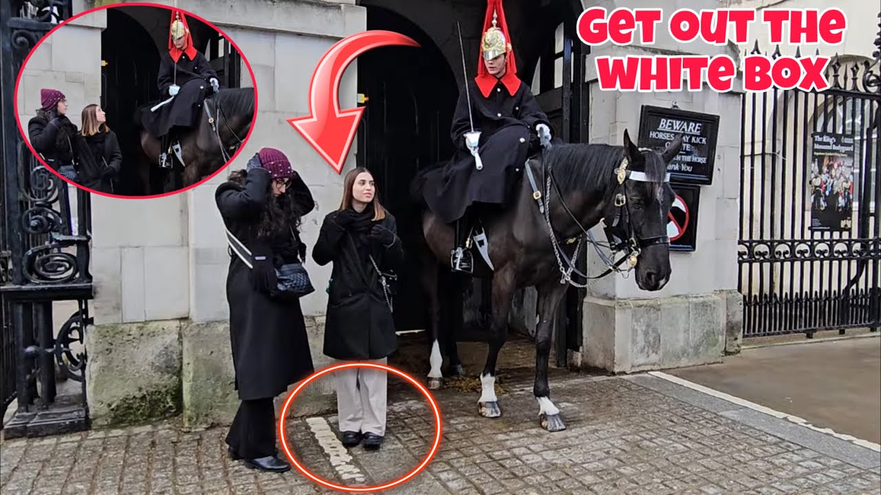 Tourist Makes One Wrong Move… Royal Guard Responds FAST 😳