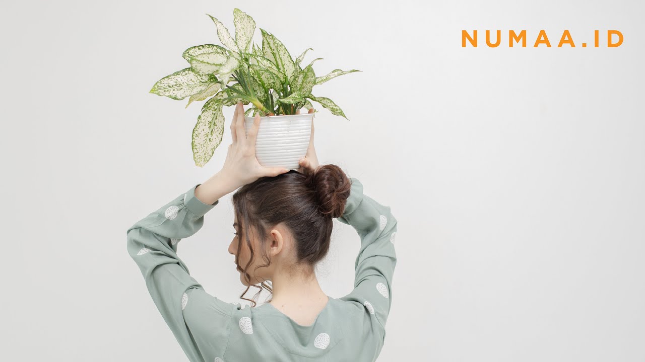 CAMPAIGN VIDEO FOR NUMAA.ID BY HAZEL PHOTO HOUSE (2020)
