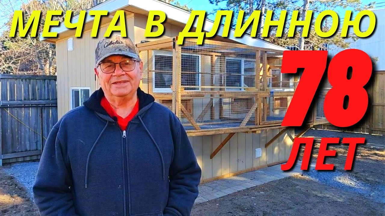 Построил Первую Голубятню для долгожданных лётных голубей 🤩/pigeon pigeons