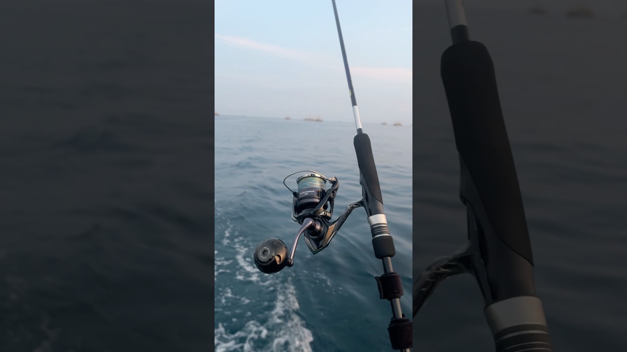 Super Light Jigging Tackle! Twin Power XD ft Grappler SLJ. #shortvideo #shimano #twinpowerxd
