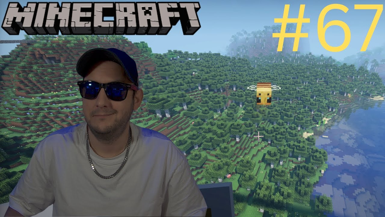 Let’s Play Minecraft #67 – Bienen transportieren… was kann schiefgehen? 😅🐝